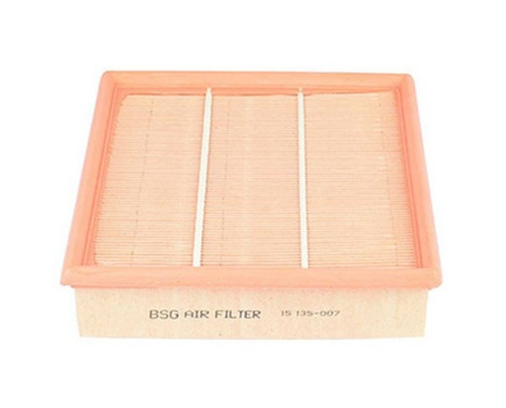 Air filter BSG 15-135-007
