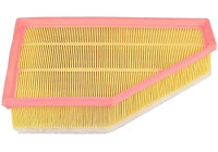 Air filter BSG 15-135-012