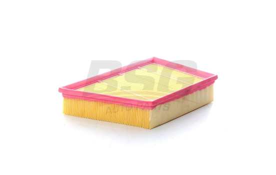 Air filter BSG 15-135-029