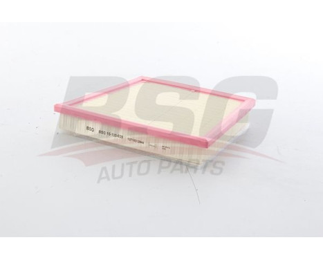 Air filter BSG 15-135-039, Image 2