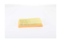 Air filter BSG 25-135-008