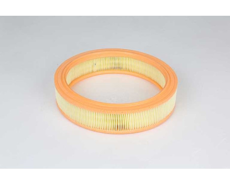 Air filter BSG 25-135-010