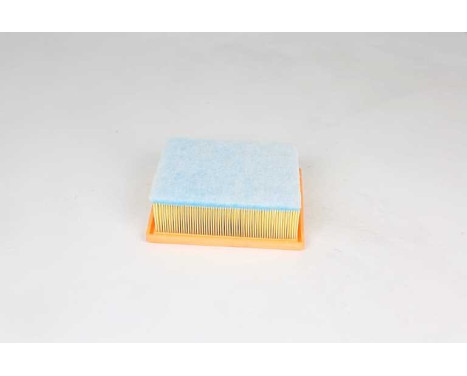 Air filter BSG 25-135-019