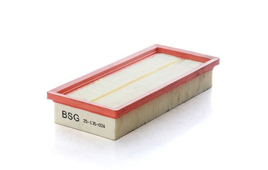 Air filter BSG 25-135-024