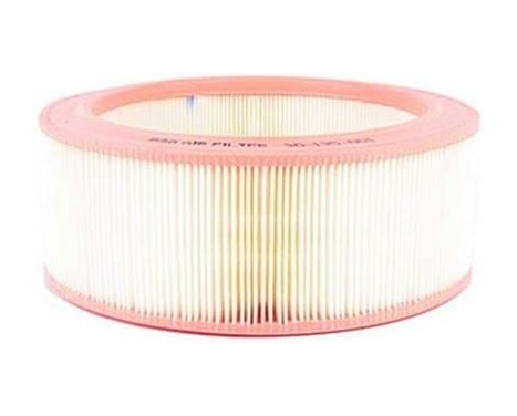 Air filter BSG 30-135-001