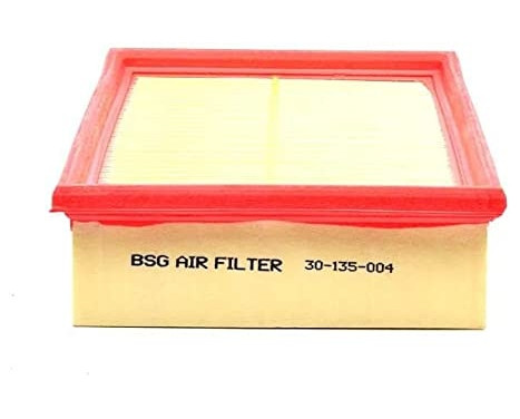Air filter BSG 30-135-004
