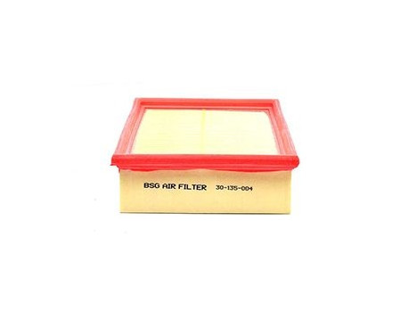 Air filter BSG 30-135-004, Image 2