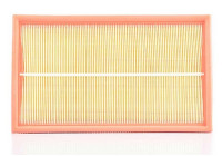 Air filter BSG 60-135-010