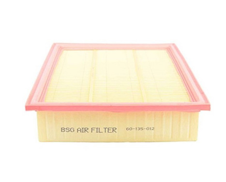 Air filter BSG 60-135-012