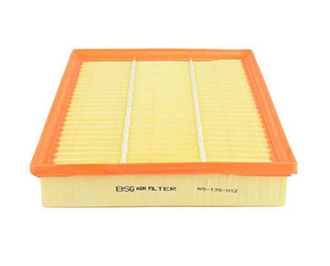 Air filter BSG 65-135-012