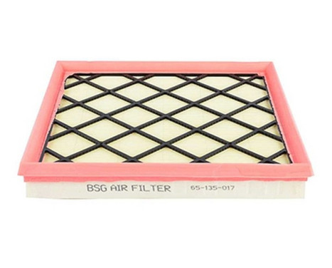 Air filter BSG 65-135-017