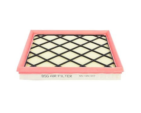 Air filter BSG 65-135-017, Image 2