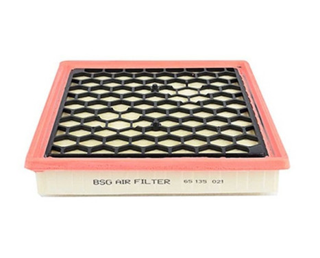 Air filter BSG 65-135-021