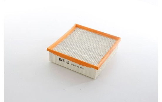 Air filter BSG 65-135-022