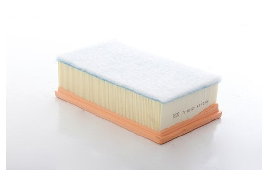 Air filter BSG 70-135-024