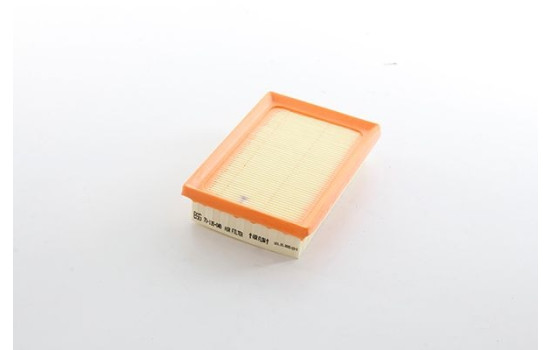 Air filter BSG 70-135-040