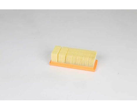 Air filter BSG 75-135-017
