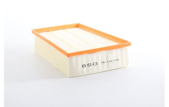 Air filter BSG 75-135-026