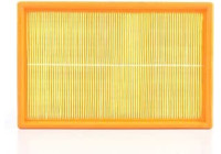 Air filter BSG 90-135-007