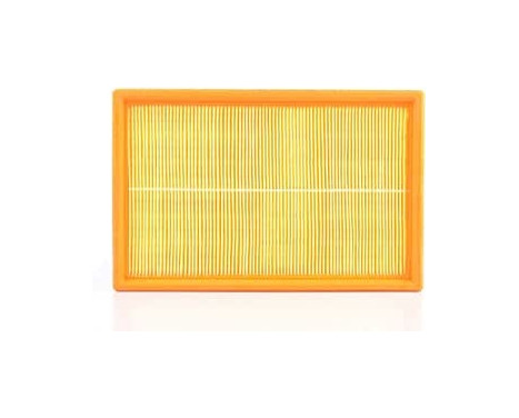 Air filter BSG 90-135-007