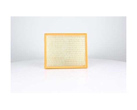 Air filter BSG 90-135-027