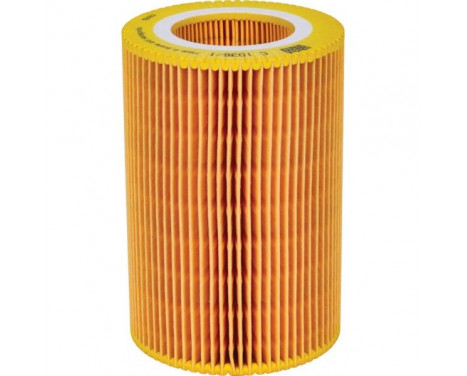 Air Filter C 1036/1 Mann