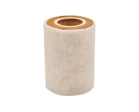 Air Filter C 1036/2 Mann