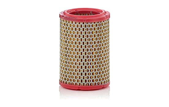 Air Filter C 1134/1 MANN-FILTER