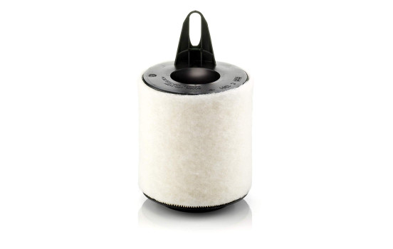 Air Filter C 1361 Mann