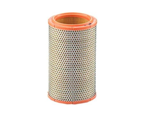 Air Filter C 1387 Mann