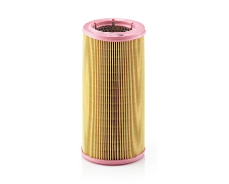 Air Filter C 1394/1 Mann, Image 2