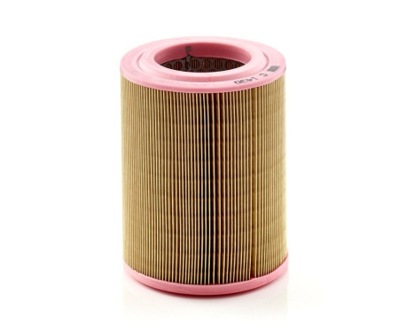 Air Filter C 1430 Mann, Image 4