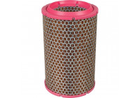 Air Filter C 1589/2 Mann