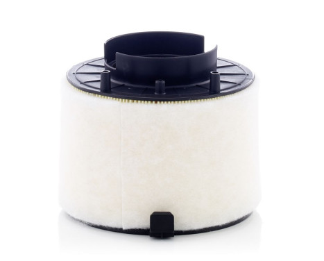 Air Filter C 17 009 Mann, Image 2
