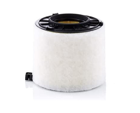 Air Filter C 17 010 Mann
