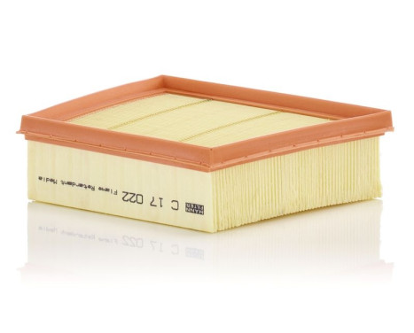 Air Filter C 17 022 Mann, Image 2