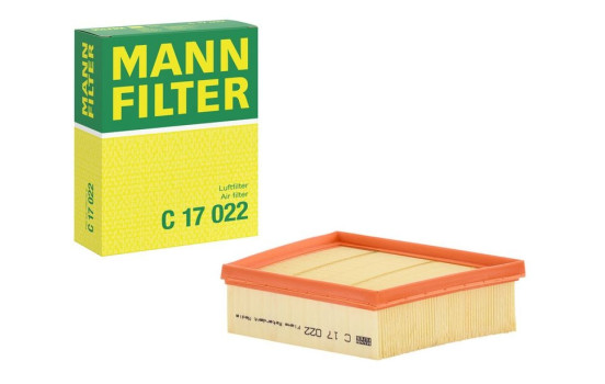 Air Filter C 17 022 Mann, Image 4