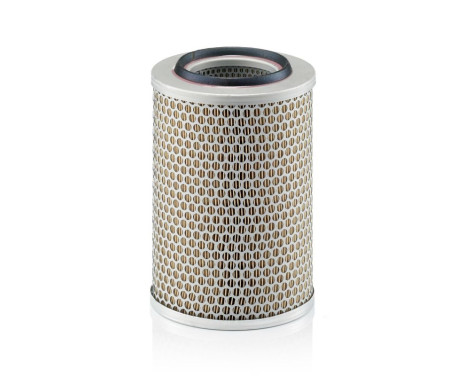 Air Filter C 17 201 Mann, Image 2
