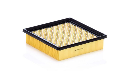 Air Filter C 19 003 MANN-FILTER