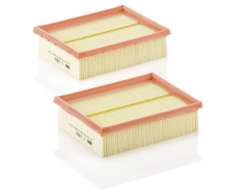 Air Filter C 1955-2 Mann, Image 3