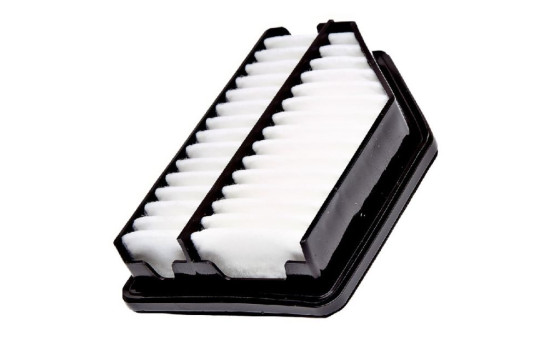 Air Filter C 20 003 MANN-FILTER