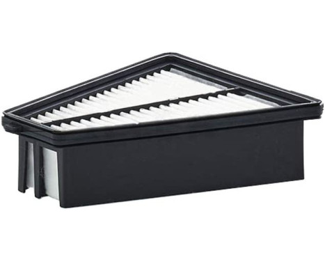 Air Filter C 21 025 Mann