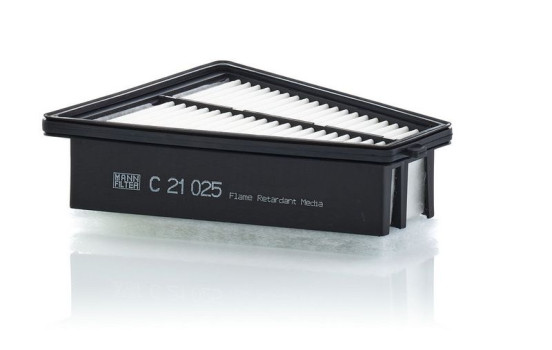Air Filter C 21 025 Mann, Image 2