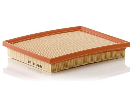 Air Filter C 22 009 Mann