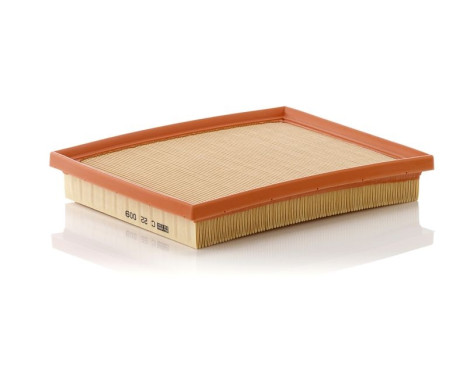 Air Filter C 22 009 Mann, Image 2