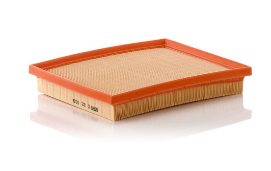 Air Filter C 22 009 Mann, Image 2
