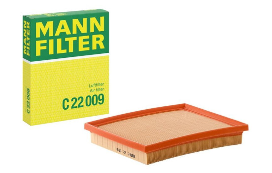 Air Filter C 22 009 Mann, Image 4