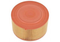 Air Filter C 22 024 Mann