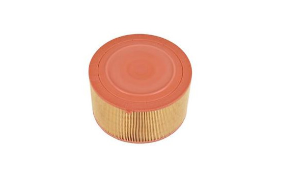 Air Filter C 22 024 Mann