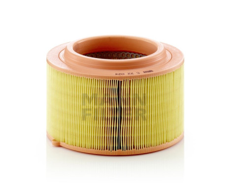 Air Filter C 22 024 Mann, Image 2